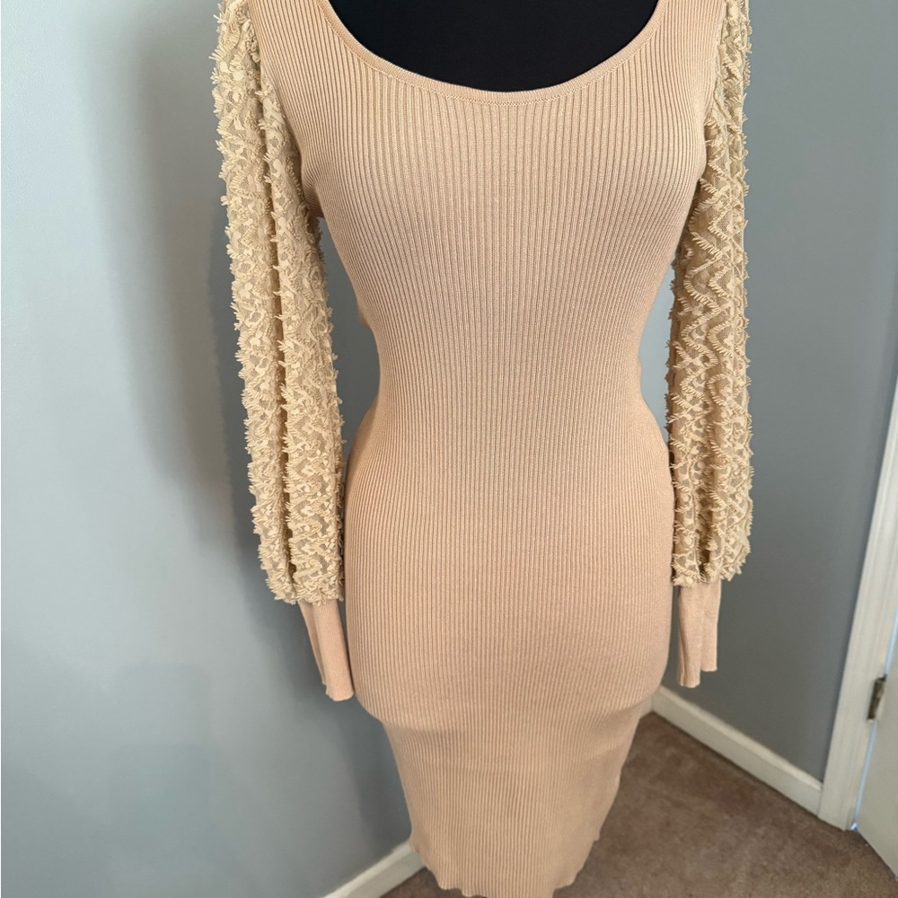 Absolutely Famous Beige Long Sleeve Dress